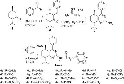 Synthesis and Antitumor Evaluation of Menthone-Derived Pyrimidine-Urea Compounds as Potential PI3K/Akt/mTOR Signaling Pathway Inhibitor